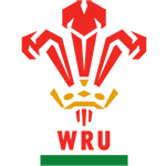Nouveau Maillot Wales Rugby 2016-17 Domicile replica