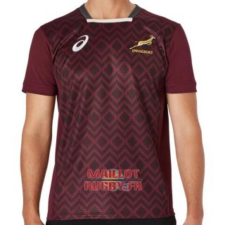 Maillot Afrique Du Sud Rugby 2021-2022 Entrainement