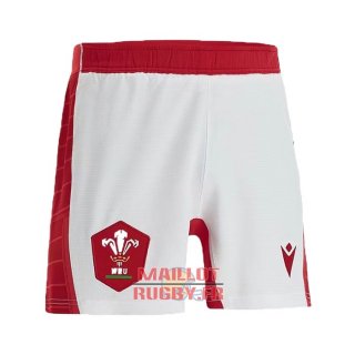 Maillot Pays de Galles Rugby 2021-2022 Maillot Pays de Galles Rugby 2021-2022